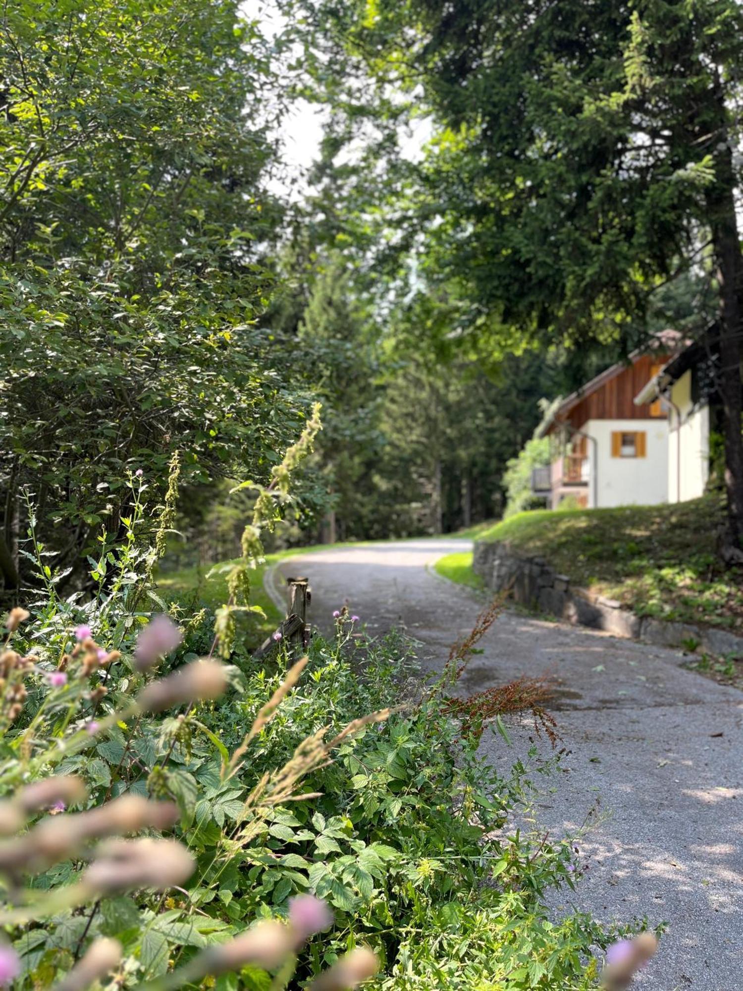 Chalet Harmony Rogla - Apartment Zrece Luaran gambar